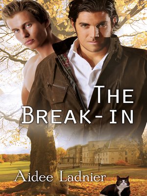 cover image of The Break-in
